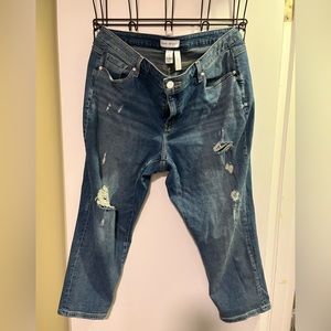 Size 18 Lane Bryant capri jeans
